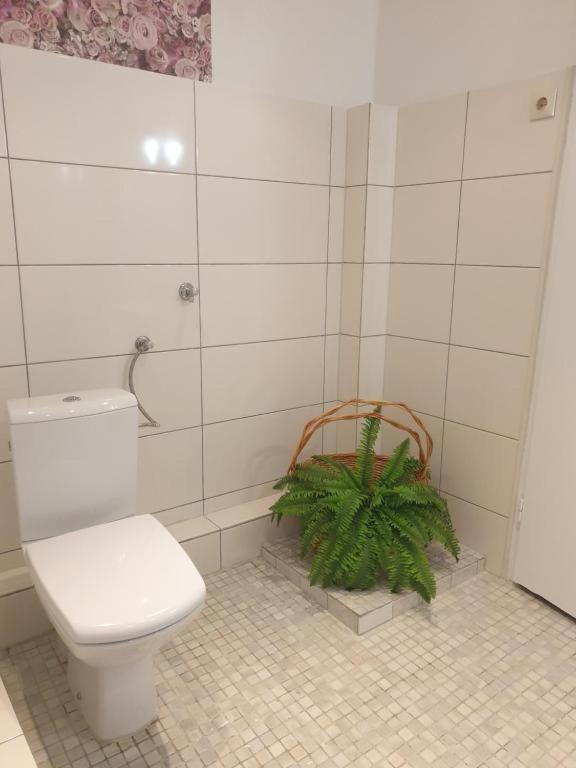 Ferienwohnungen Lemberg Hagen  Extérieur photo